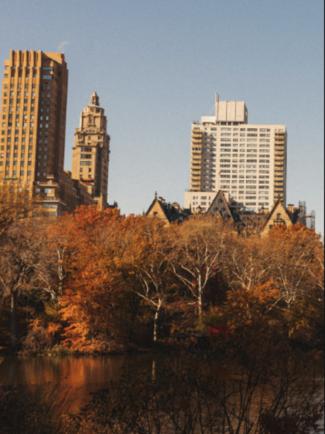 Most Beautiful Viewpoints Within New York Central Park