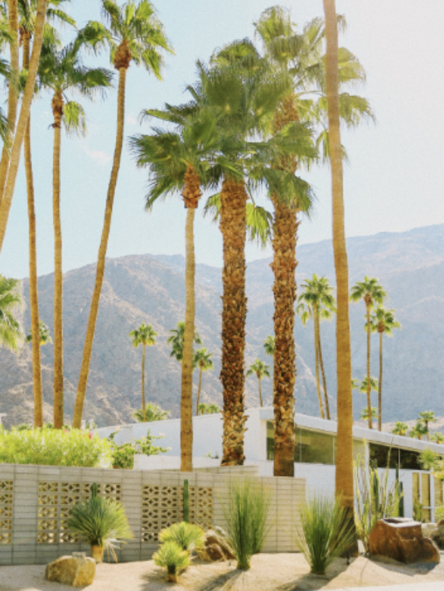 Where to Stay When Visiting Palm Springs, California